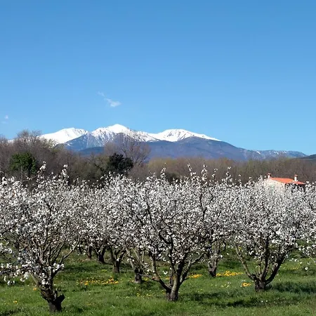 Apartamento Ta Maria